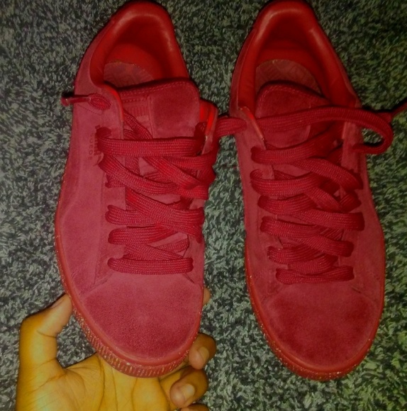 Pumas - Picture 2 of 6